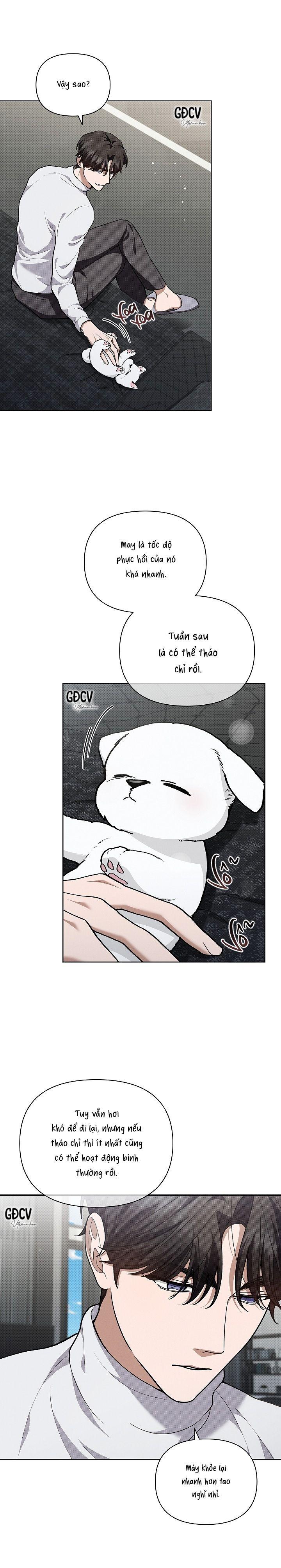 Đọc truyện ĐỪNG CHẠM VÀO CÚN CON CỦA TÔI - Chapter 7