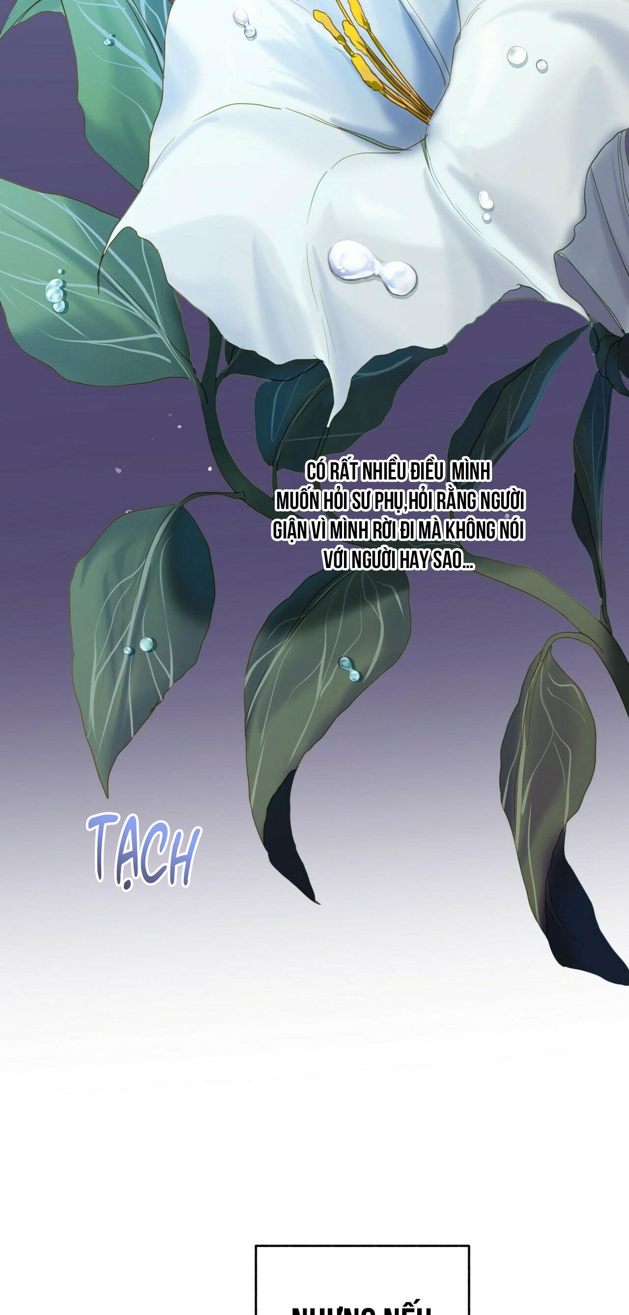 Đọc truyện BÁT NHÃ GIAI NHÂN - Chapter 35