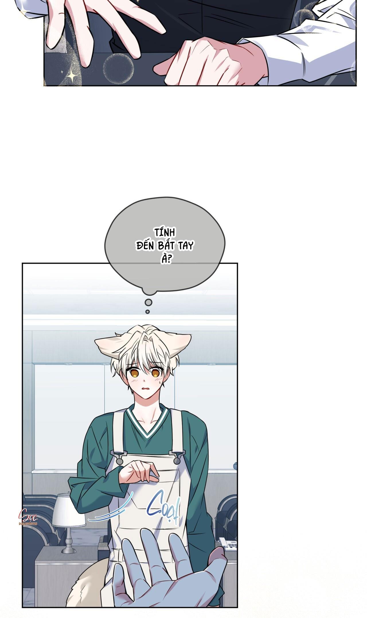 Đọc truyện NƯỚC UỐNG TÌNH YÊU CỦA CÁO PLIN - Chapter 3