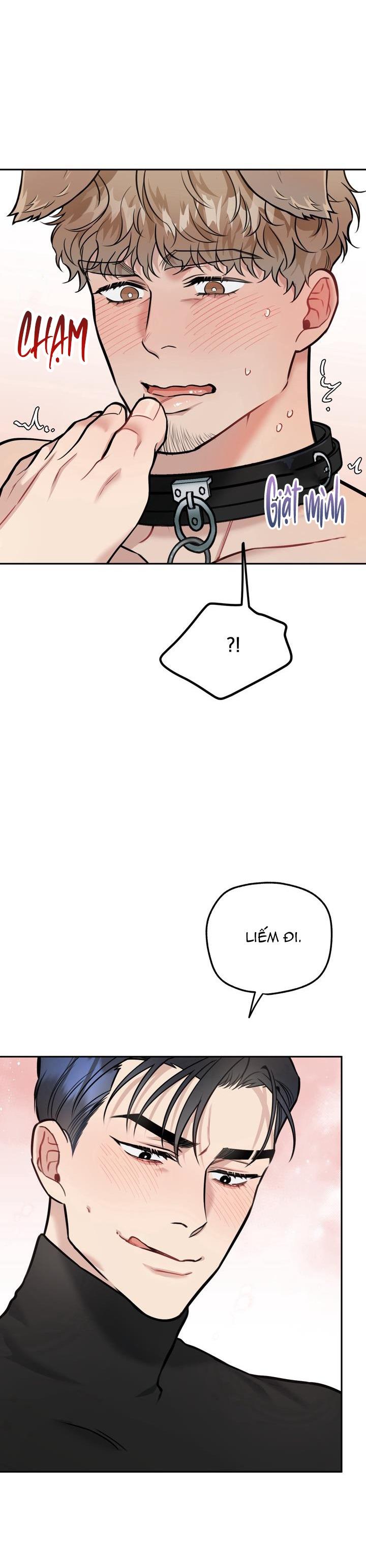 Đọc truyện HƯỚNG DẪN BDSM CƠ BẢN - Chapter 13