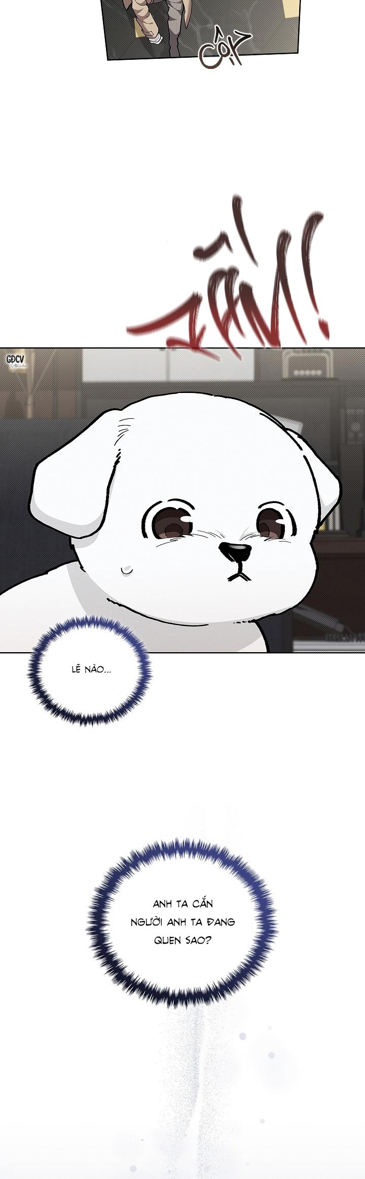 Đọc truyện ĐỪNG CHẠM VÀO CÚN CON CỦA TÔI - Chapter 8