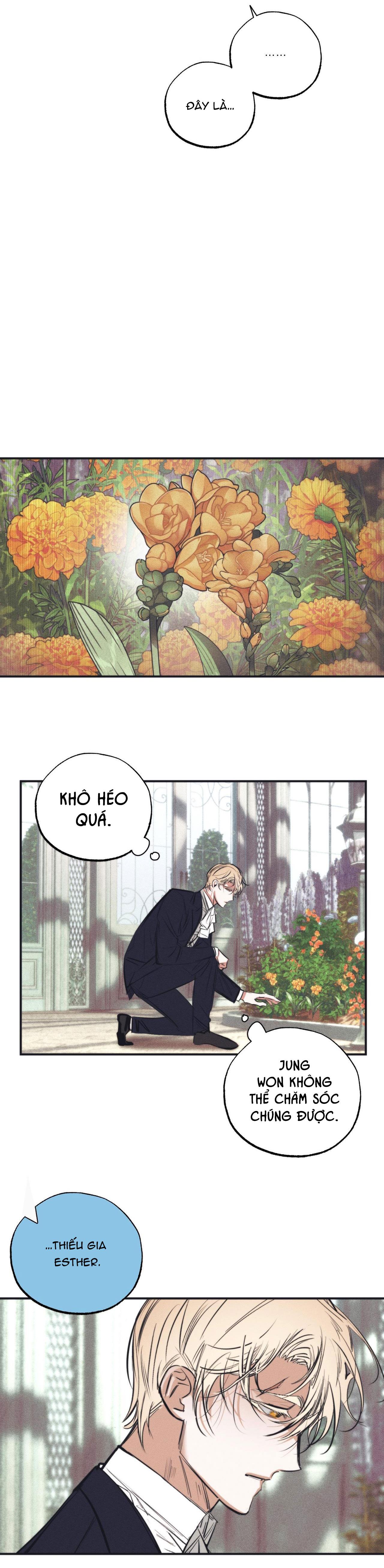 Đọc truyện KHU VƯỜN CỦA ESTHER - Chapter 4