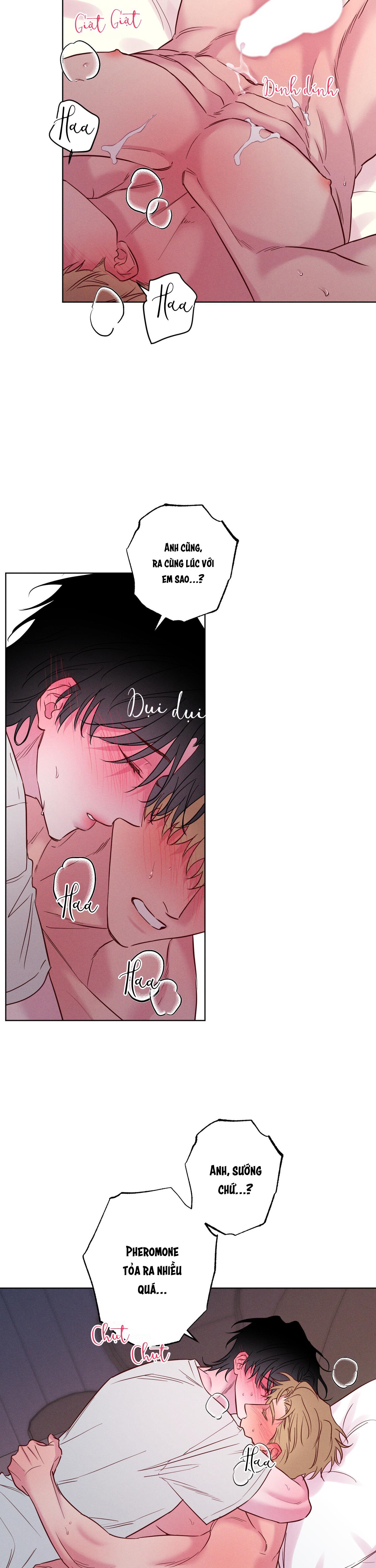 Đọc truyện BỜ SÓNG VỖ - Chapter 23