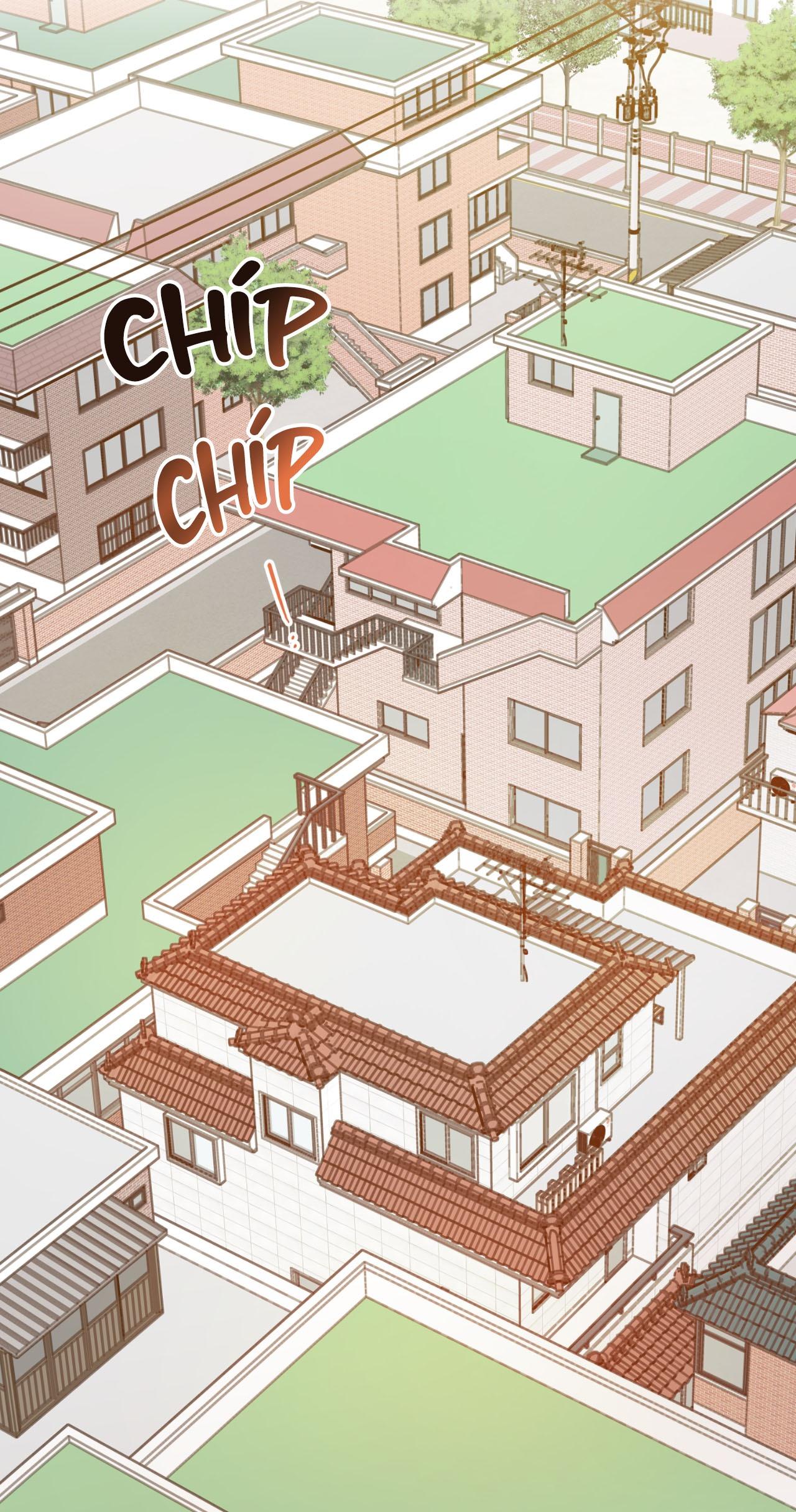 Đọc truyện Ác ma giữa ngã tư đường - Chapter 11