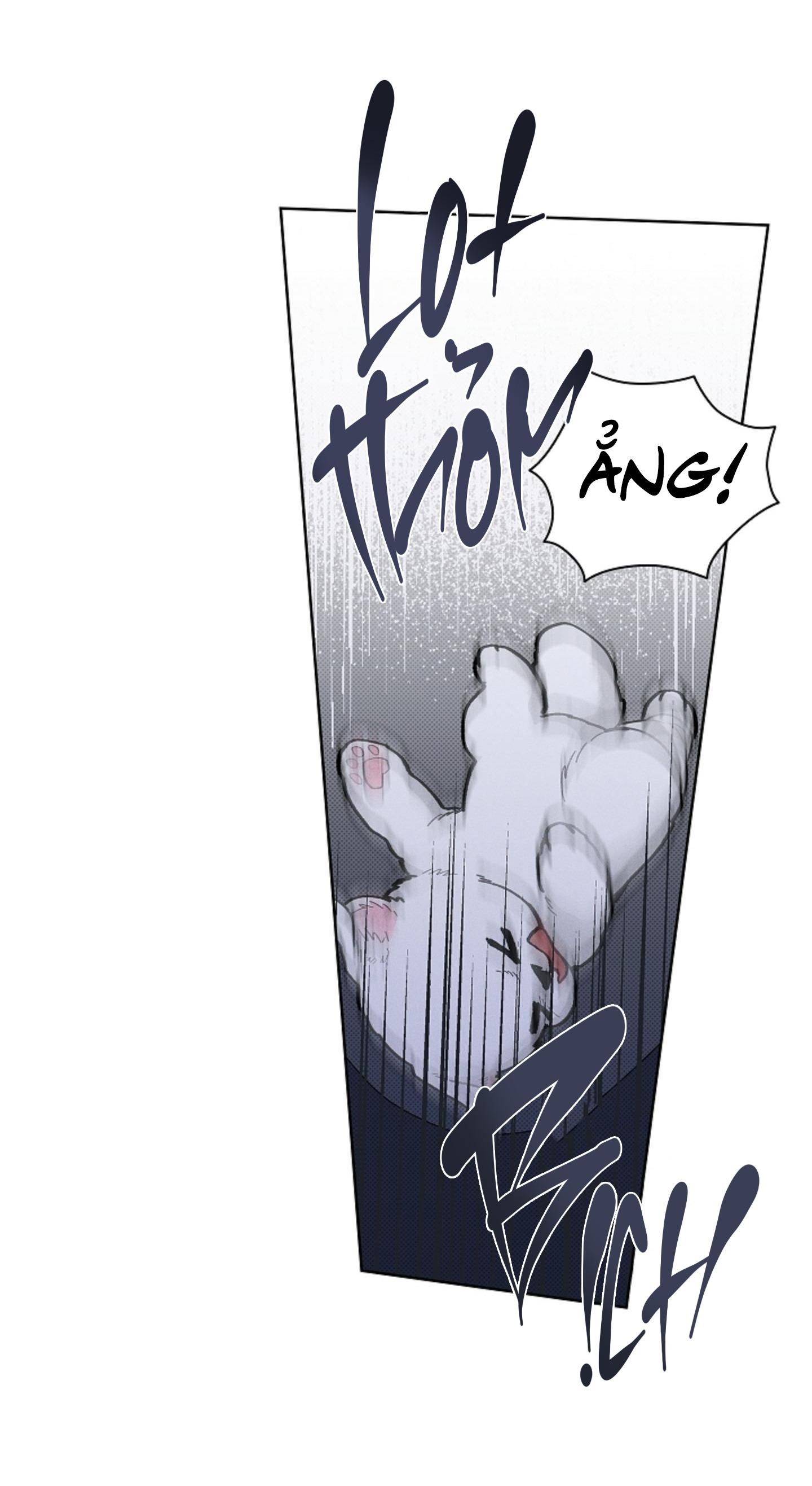 Đọc truyện ĐỪNG ĐỤNG VÀO BÉ CÚN - Chapter 6