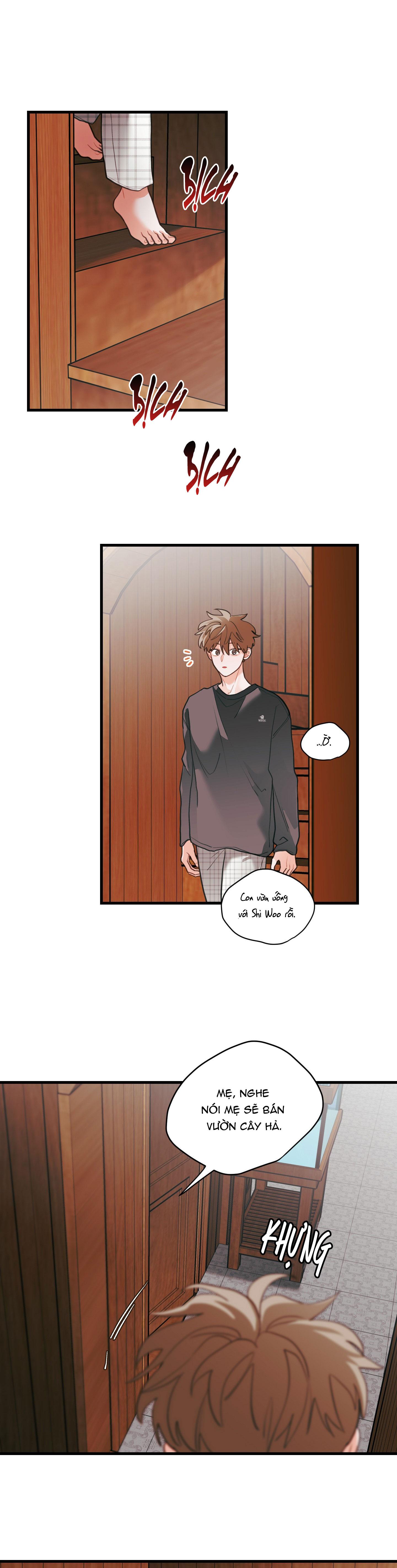 Đọc truyện CHUYỆN TÌNH HOA LÊ NỞ - Chapter 74