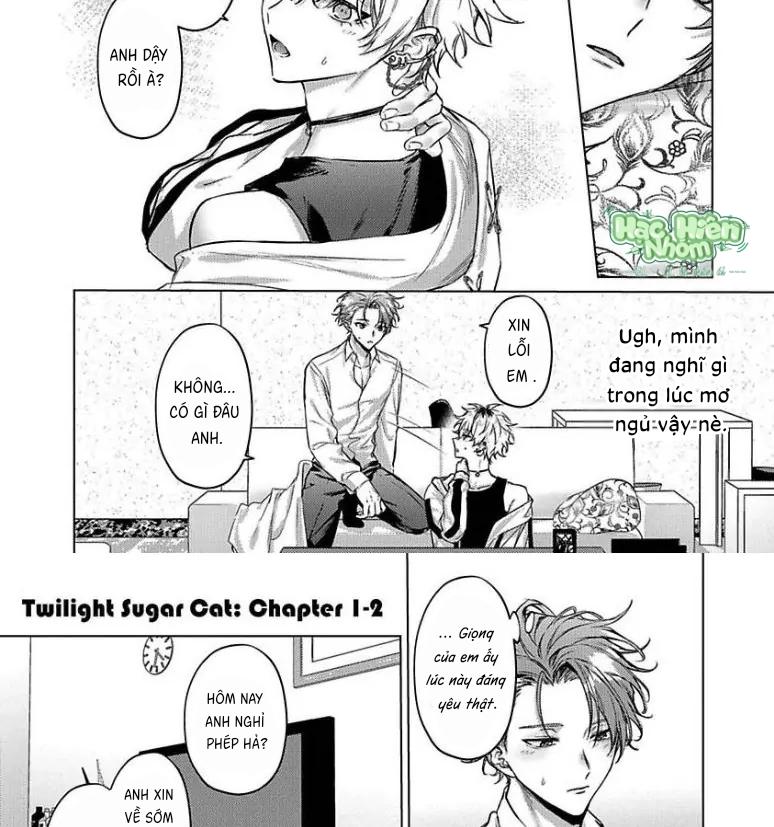 Đọc truyện Mèo con ngọt ngào lúc chạng vạng - Chapter 2