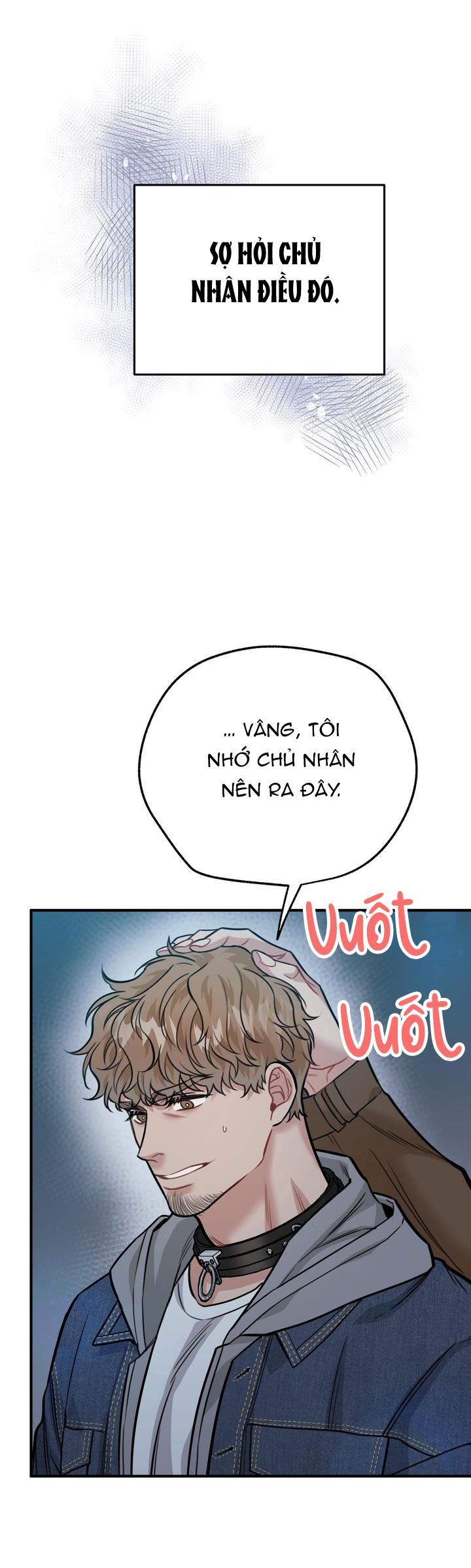 Đọc truyện HƯỚNG DẪN BDSM CƠ BẢN - Chapter 16