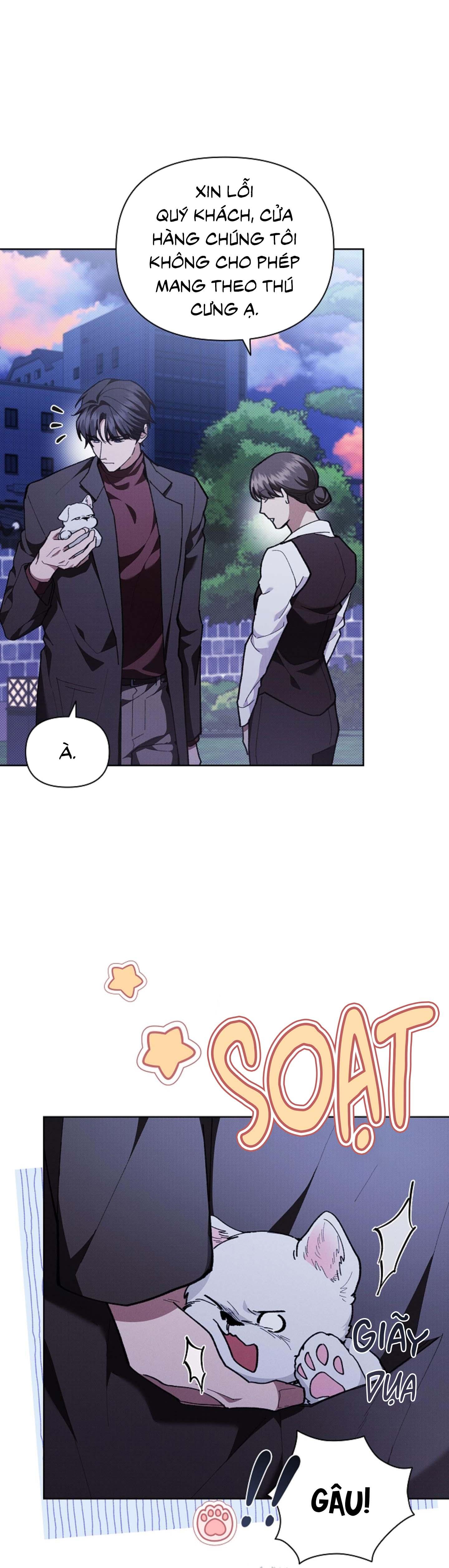 Đọc truyện ĐỪNG ĐỘNG VÀO CÚN CON! - Chapter 5