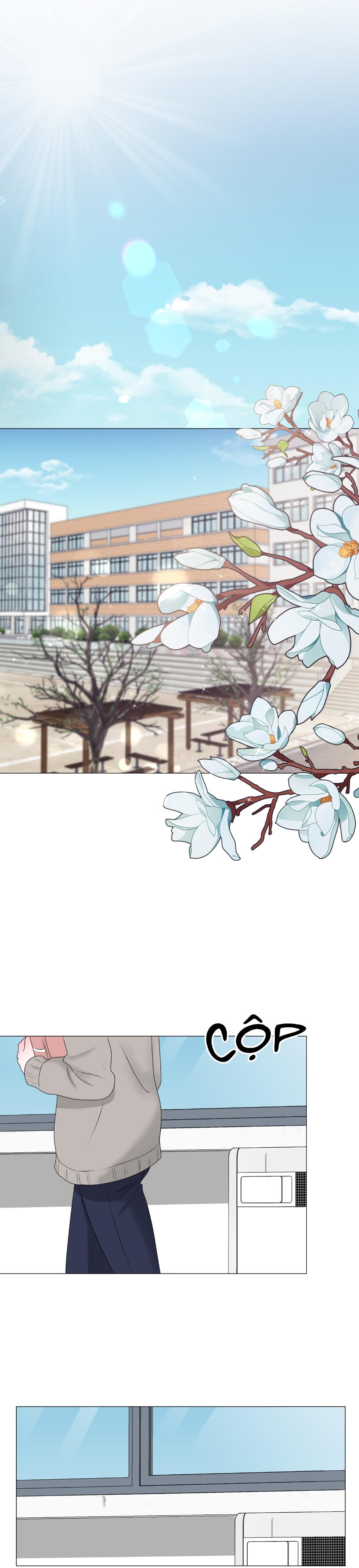 Đọc truyện Tiền bối của anh - Chapter 8