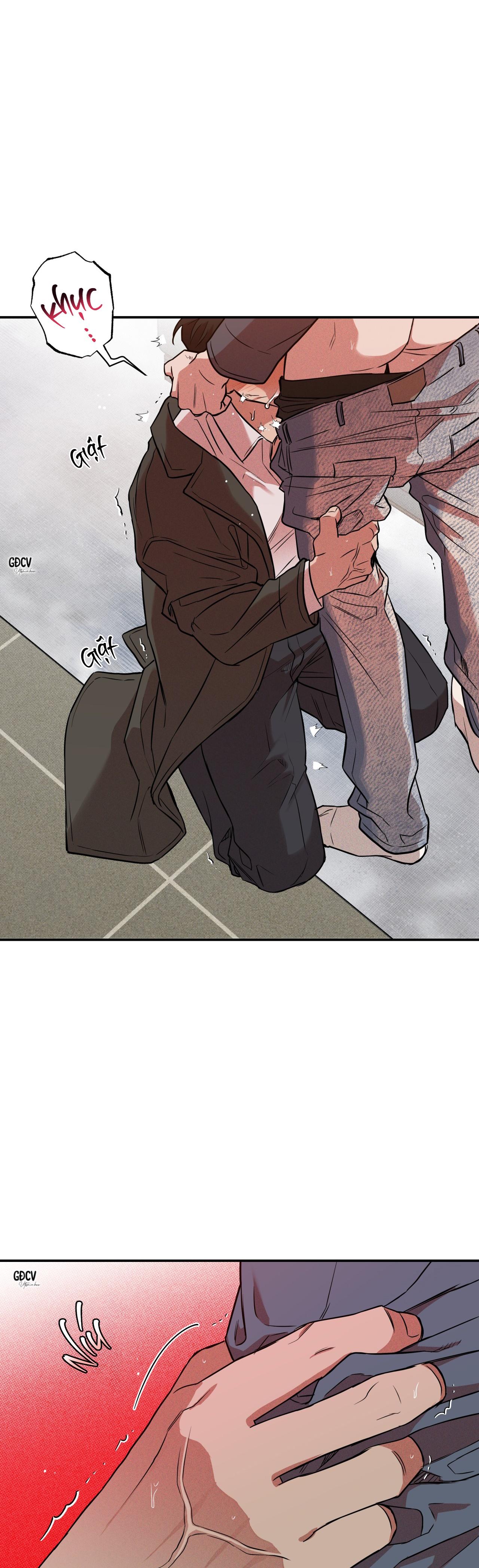 Đọc truyện ANH RỂ - Chapter 2