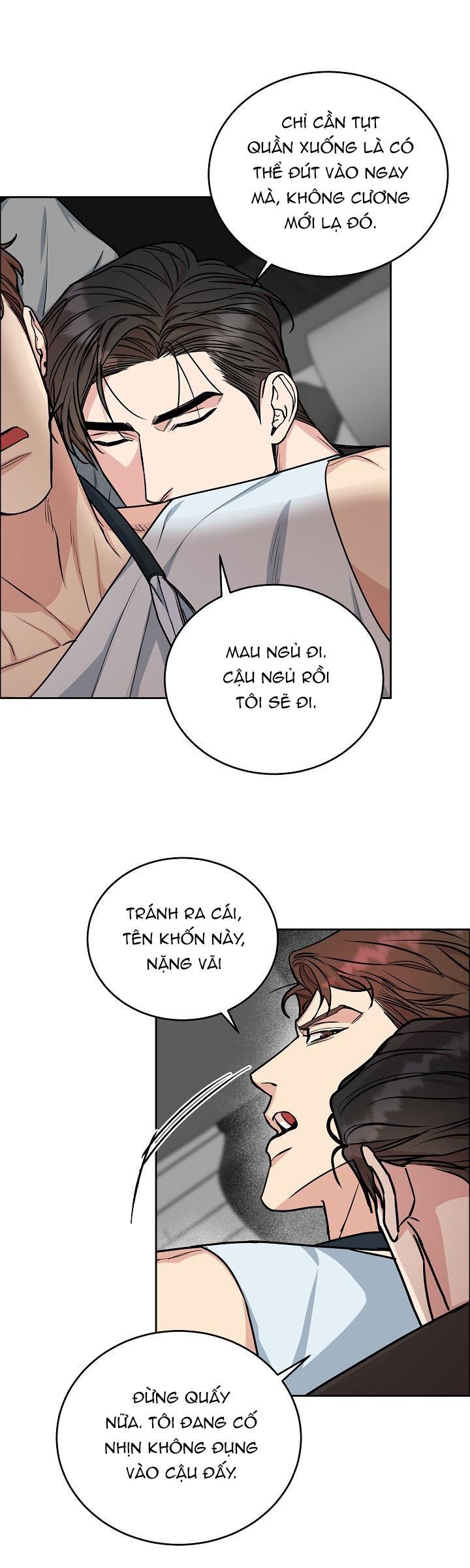 Đọc truyện CHÓ VÀ CHIM - Chapter 22