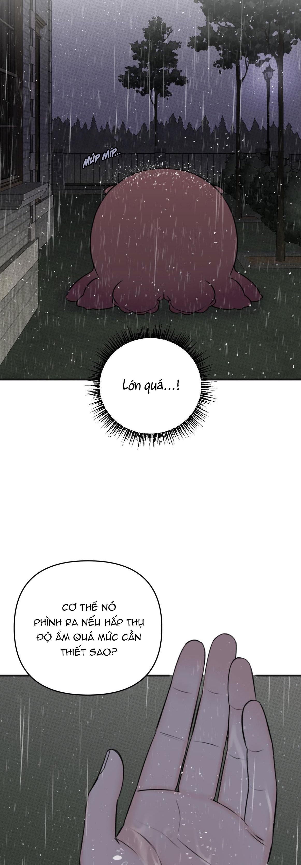 Đọc truyện BÉ XÚC TU - Chapter 5