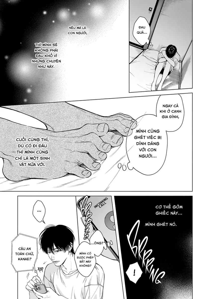 Đọc truyện Thạch lựu lấp lánh trong bãi rác - Chapter 5