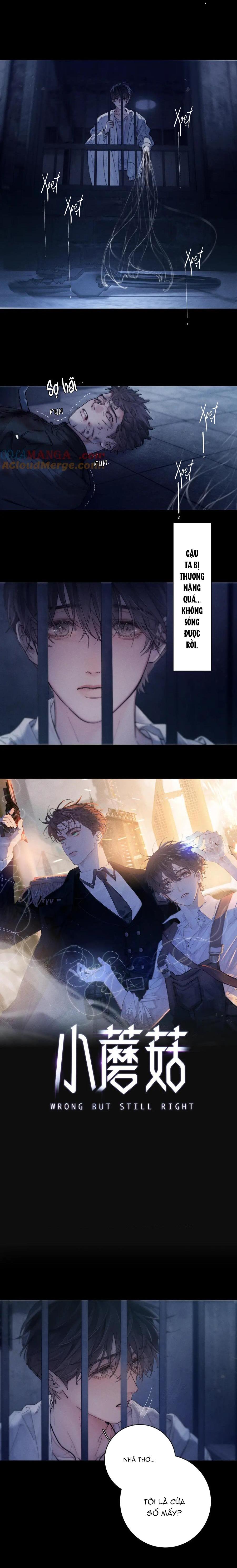Đọc truyện Cây Nấm Nhỏ - Chapter 26