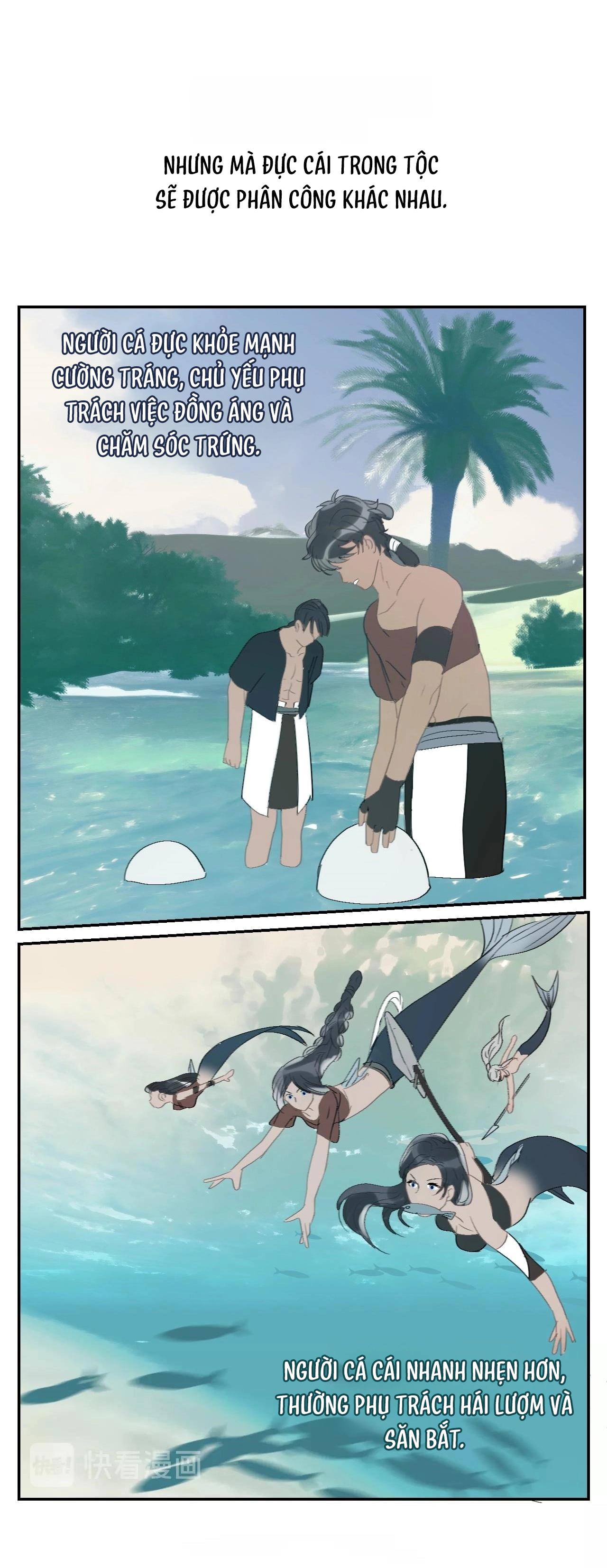 Đọc truyện Quanh Năm Có Cá - Chapter 15