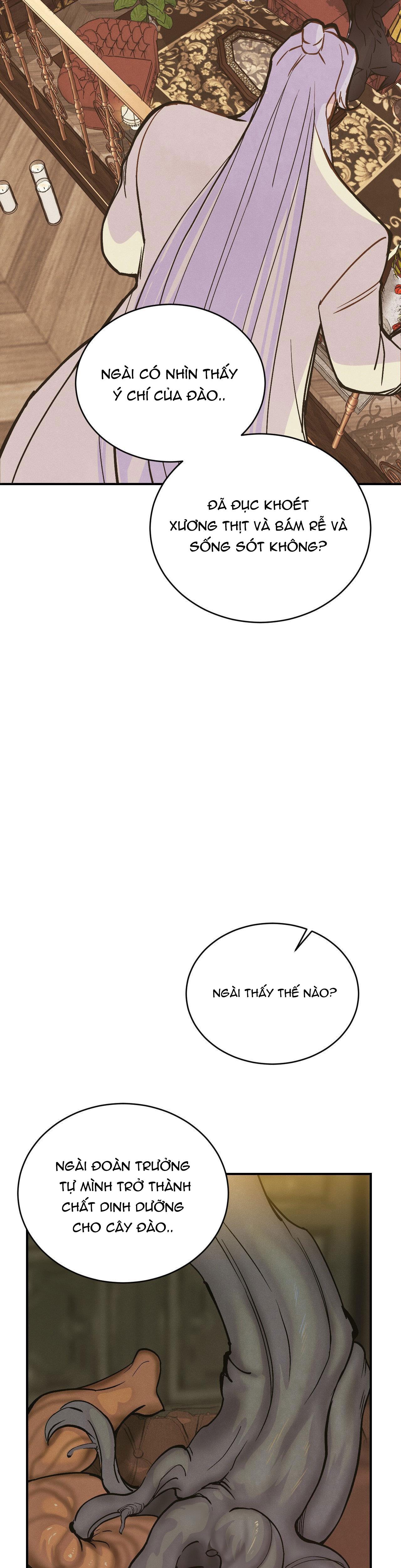 Đọc truyện CẬU BÉ ĐÀO - Chapter 12