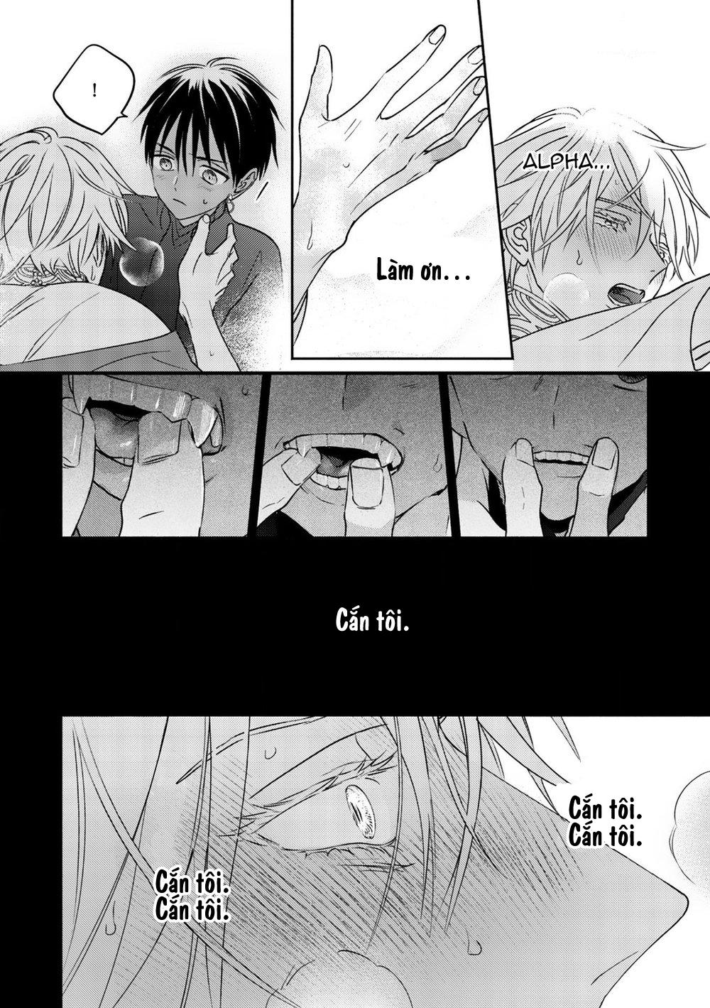 Đọc truyện Omega Của Hoàng Cung - Chapter 2