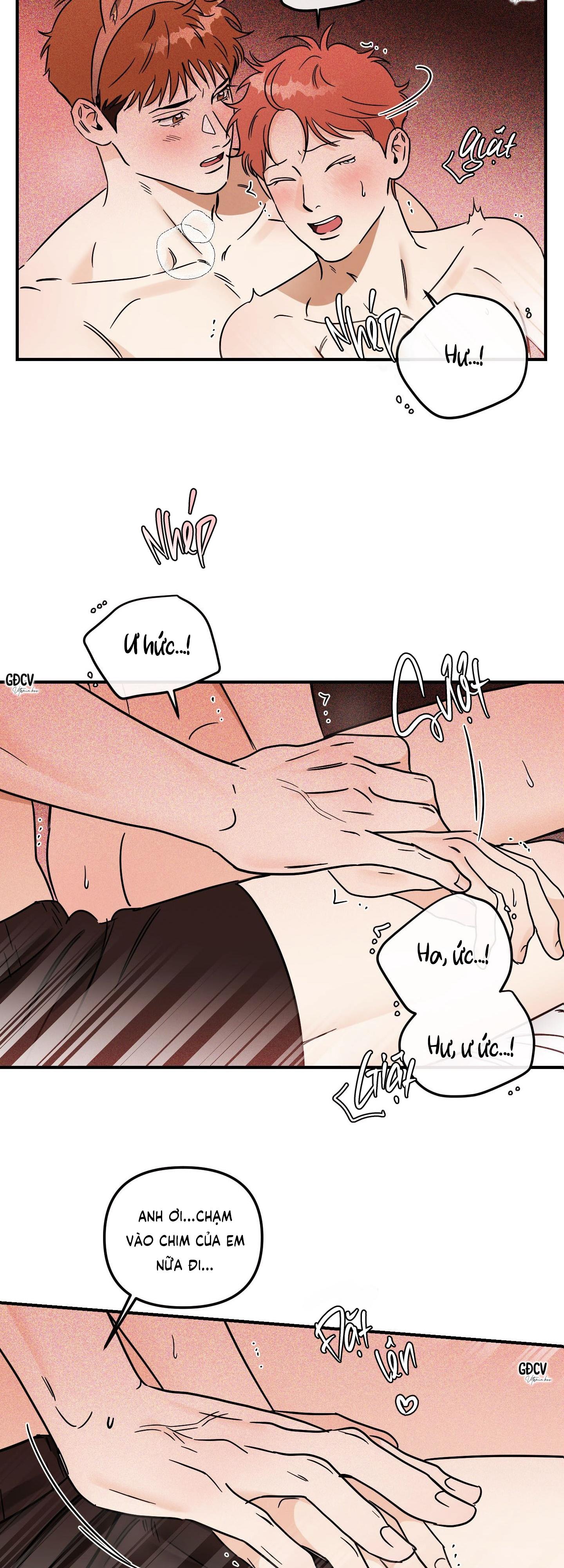 Đọc truyện CÁ MINH THÁI KHÔ QUẮT RỒI! - Chapter 31