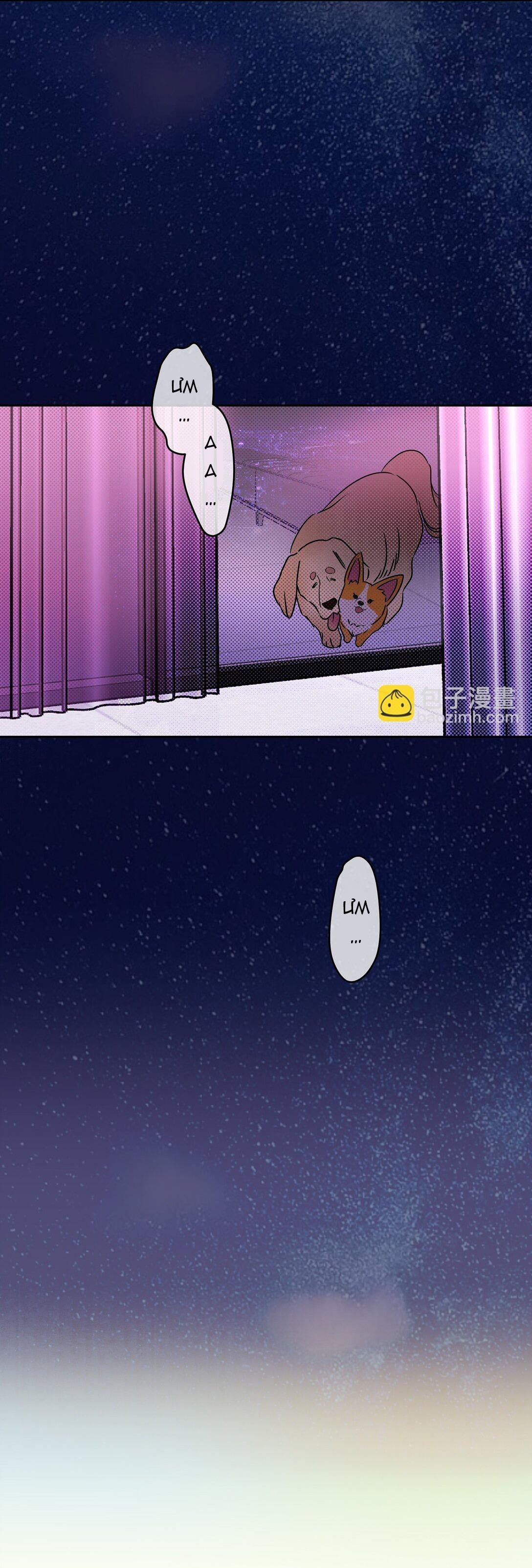 Đọc truyện Anh Trai Rẻ Tiền Của Tôi (END) - Chapter 23