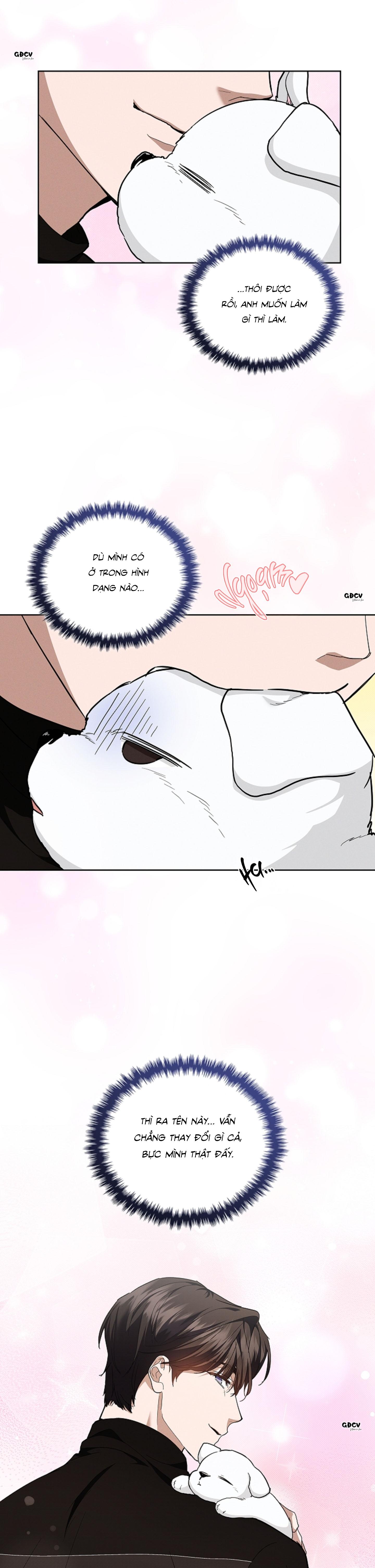 Đọc truyện ĐỪNG CHẠM VÀO CÚN CON CỦA TÔI - Chapter 17