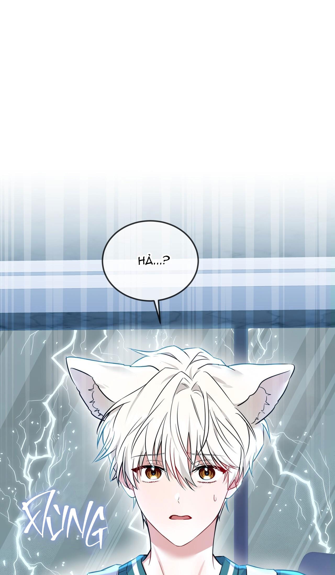 Đọc truyện NƯỚC UỐNG TÌNH YÊU CỦA CÁO PLIN - Chapter 4