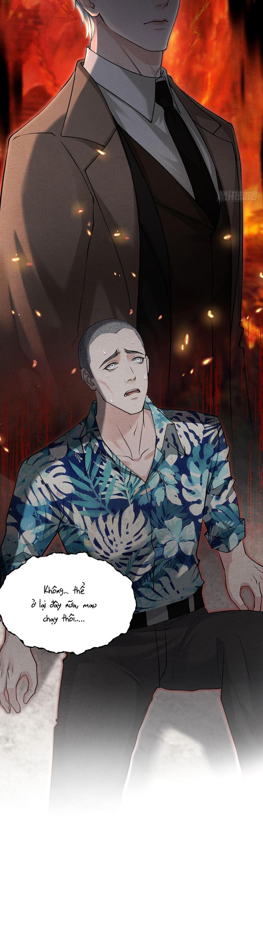 Đọc truyện Lông Vũ Ngược Sáng - Chapter 12