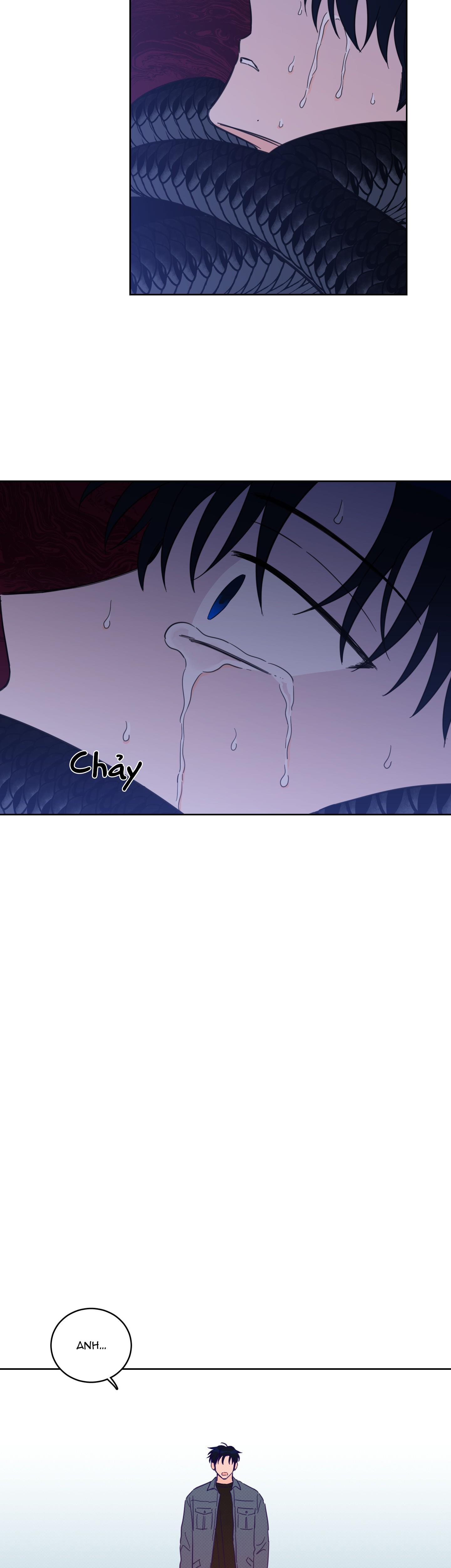 Đọc truyện Mẹo Thuần Hóa Hổ - Chapter 58