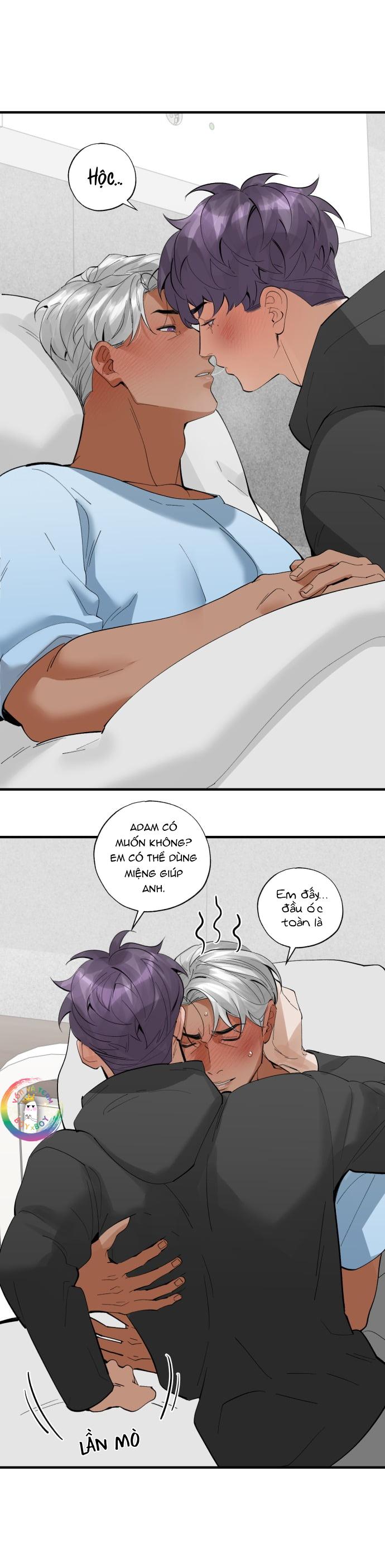 Đọc truyện PRY (Trộm Nhìn) -END - Chapter 48
