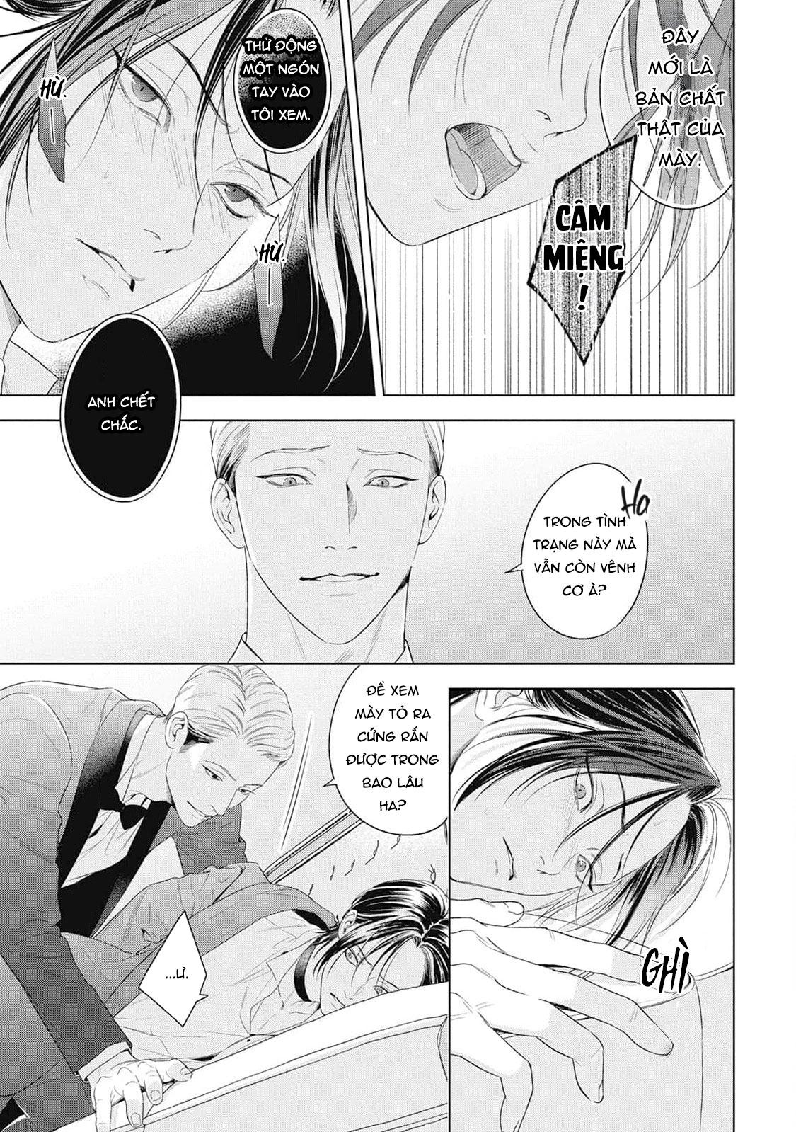 Đọc truyện Hòa thanh dưới ánh nến hoa cùng tình yêu của Omega - Chapter 1