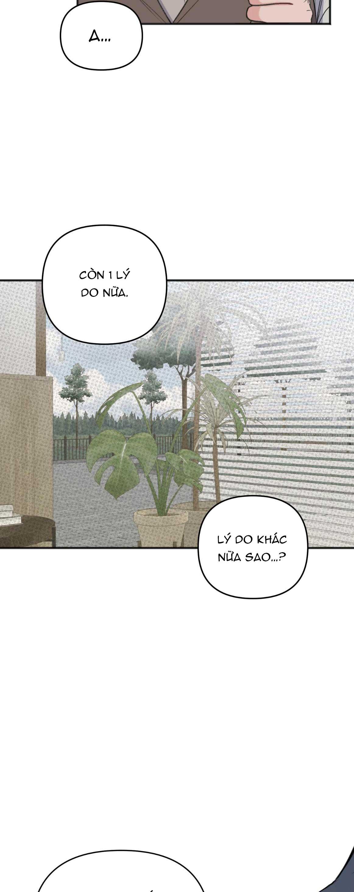 Đọc truyện DỰ BÁO MƯA RÀO - Chapter 3