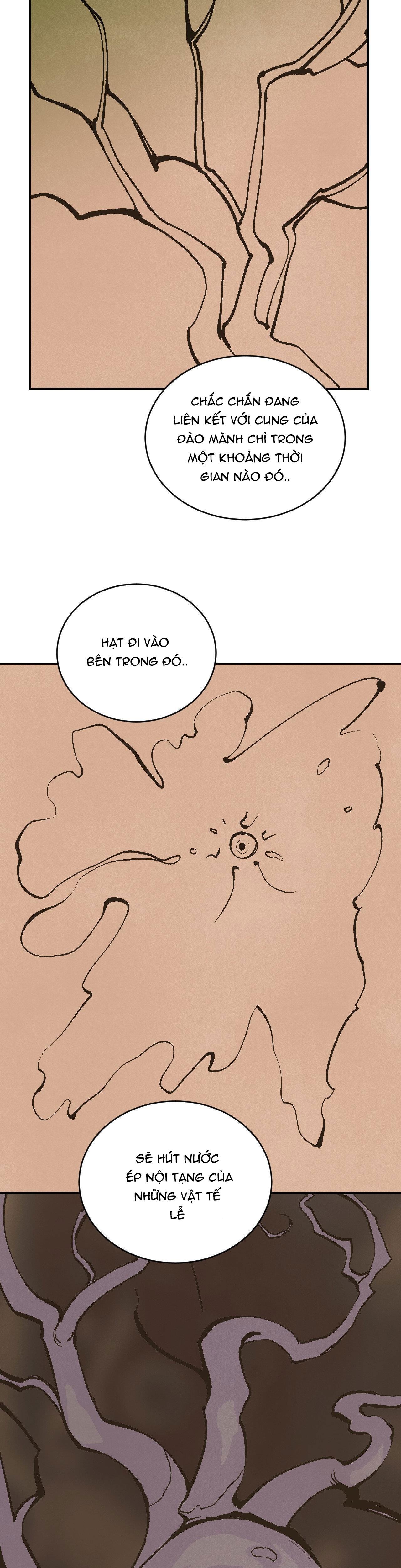 Đọc truyện CẬU BÉ ĐÀO - Chapter 33
