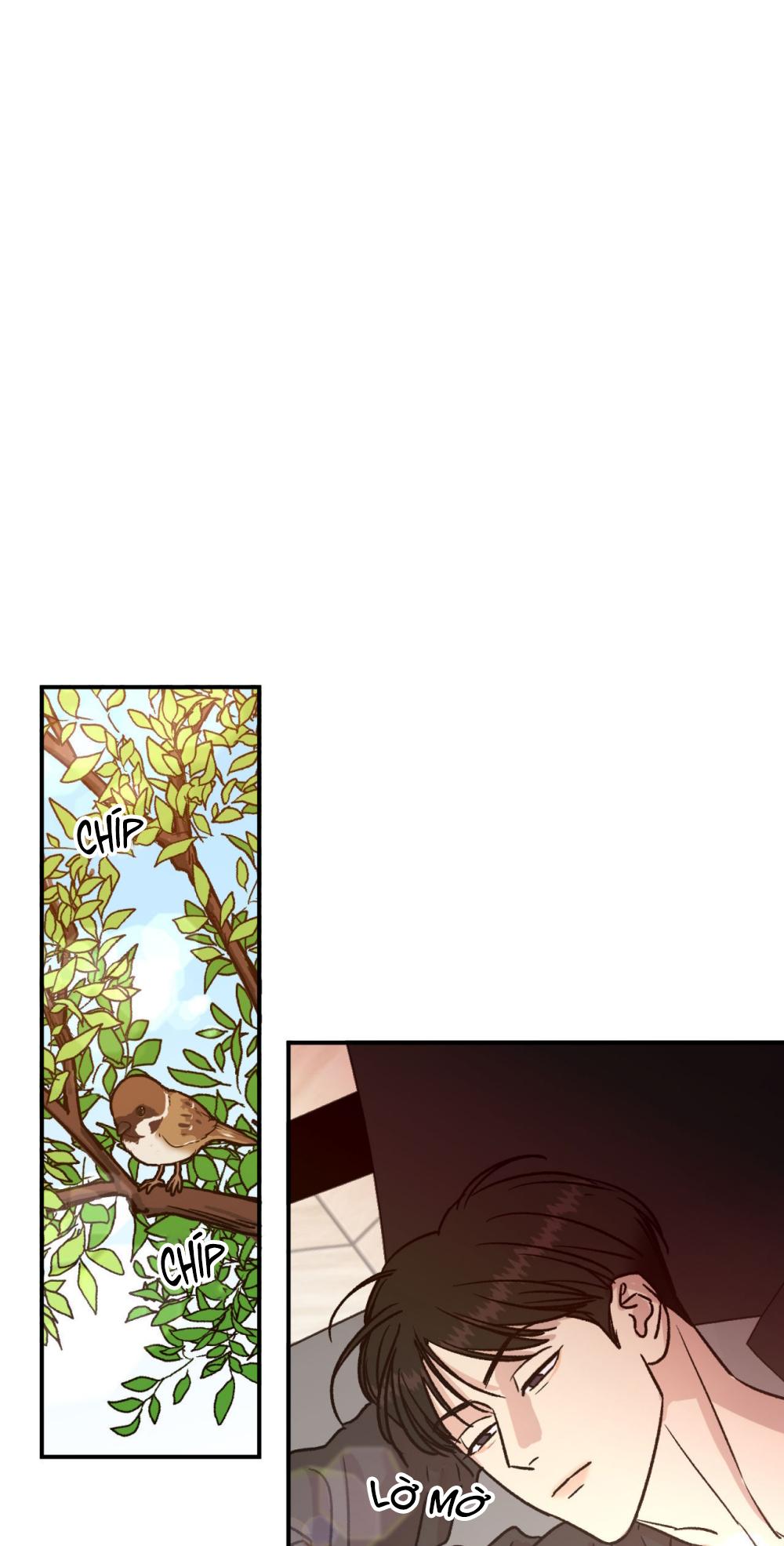 Đọc truyện Nhà của chúng ta - Chapter 17