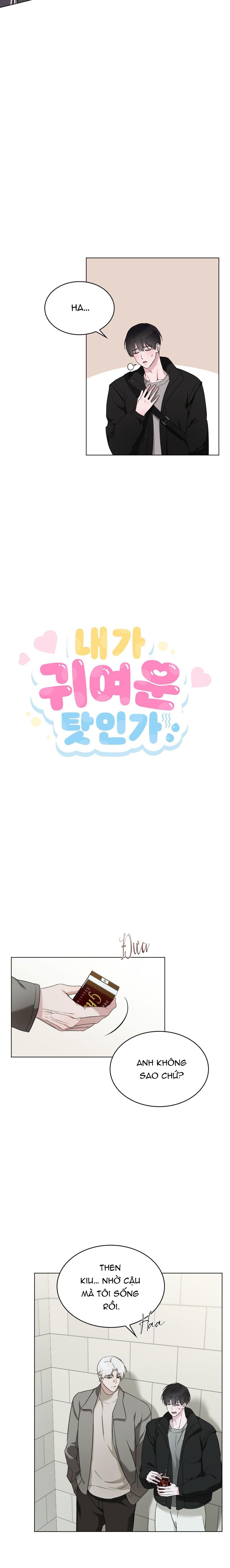 Đọc truyện LỖI TẠI DỄ THƯƠNG - Chapter 31