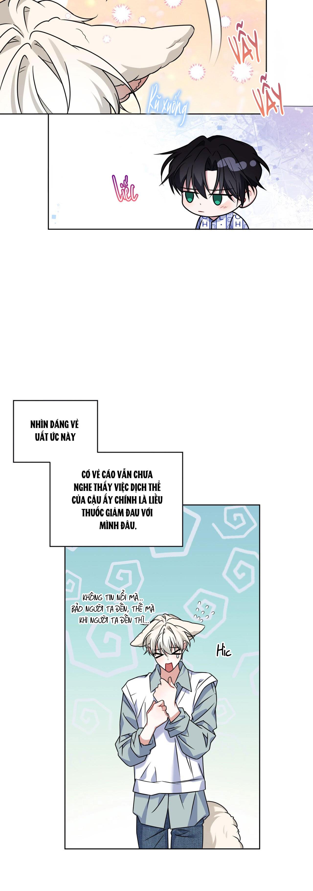 Đọc truyện NƯỚC UỐNG TÌNH YÊU CỦA CÁO PLIN - Chapter 17