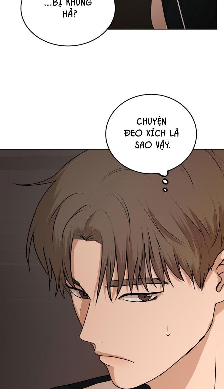 Đọc truyện BÁNH QUY TÌNH YÊU TAN CHẢY - Chapter 8