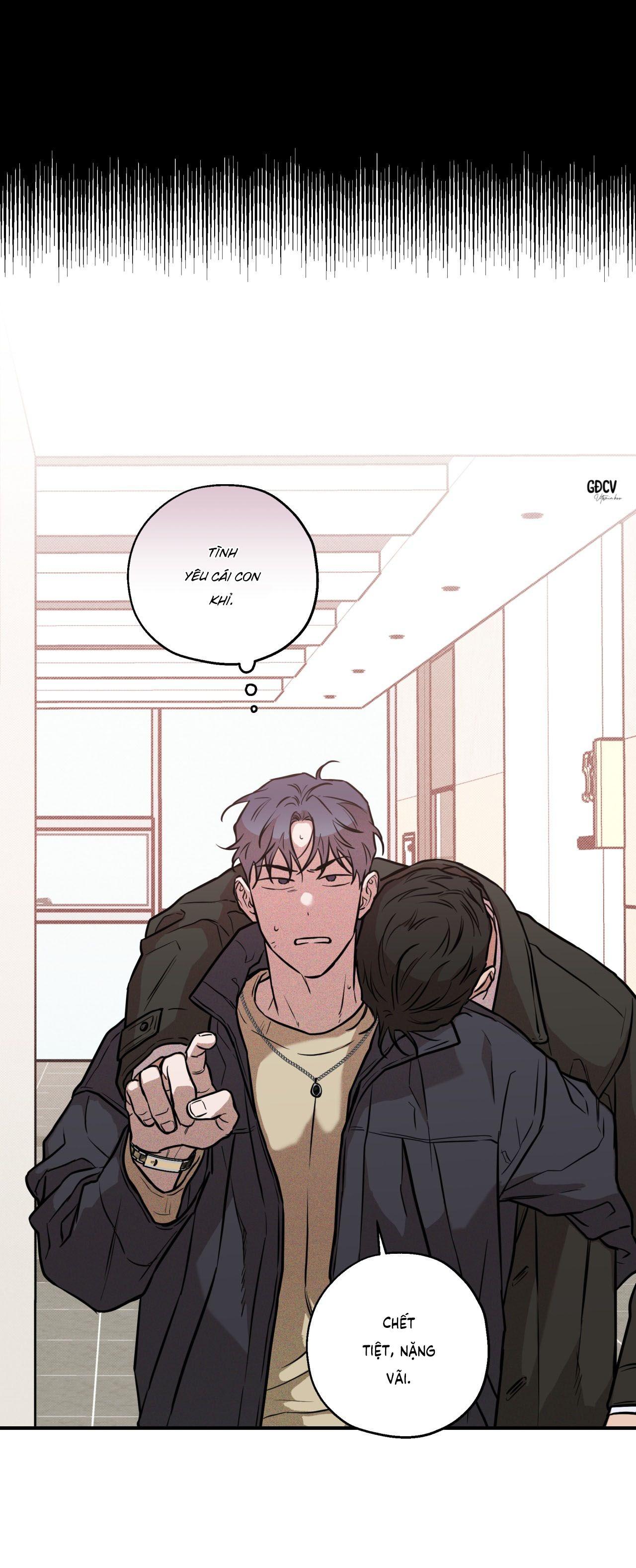 Đọc truyện ANH RỂ - Chapter 1
