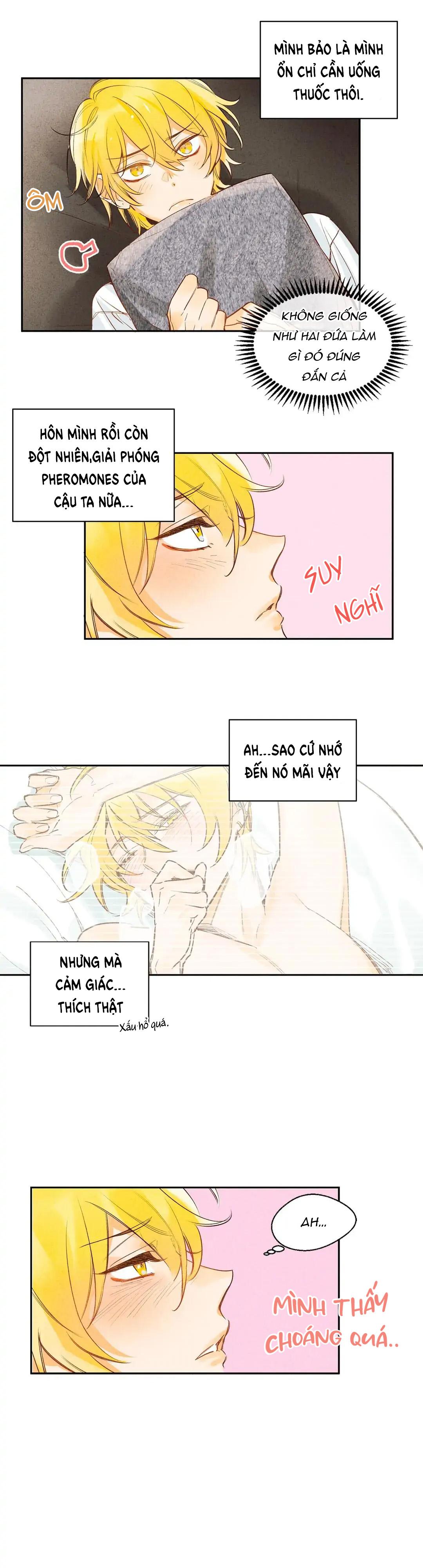 Đọc truyện Chìm Trong Pheromone - Chapter 5