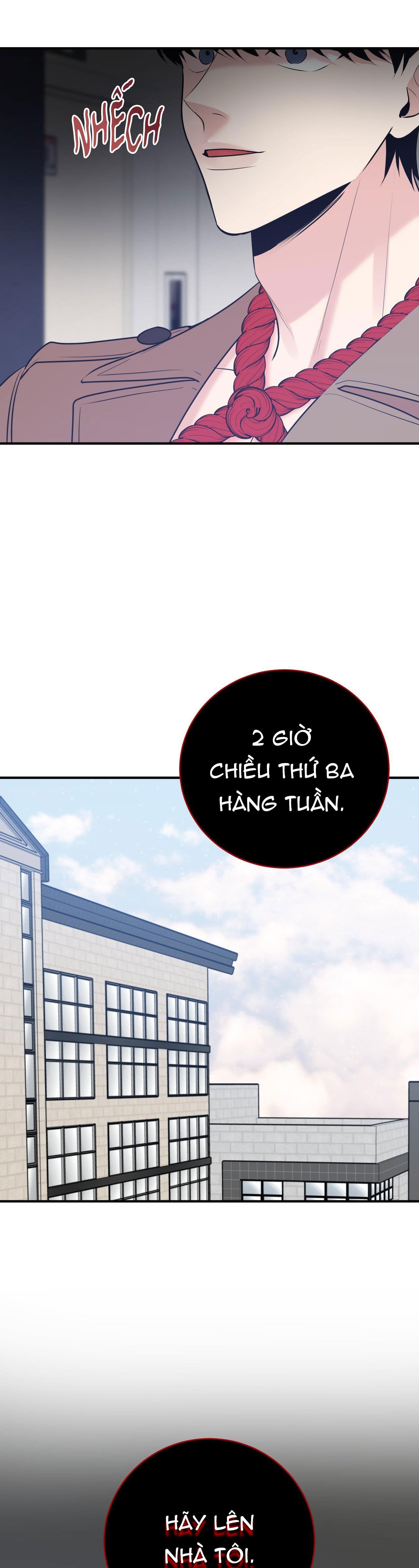 Đọc truyện ĐIỀU 260 BỘ LUẬT HÌNH SỰ - Chapter 2