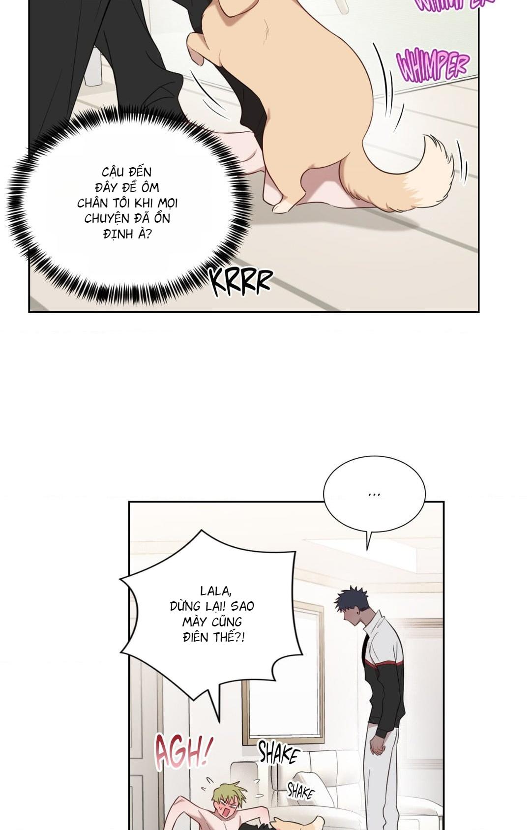 Đọc truyện Đồ ăn đêm cho quỷ tà râm - Chapter 7