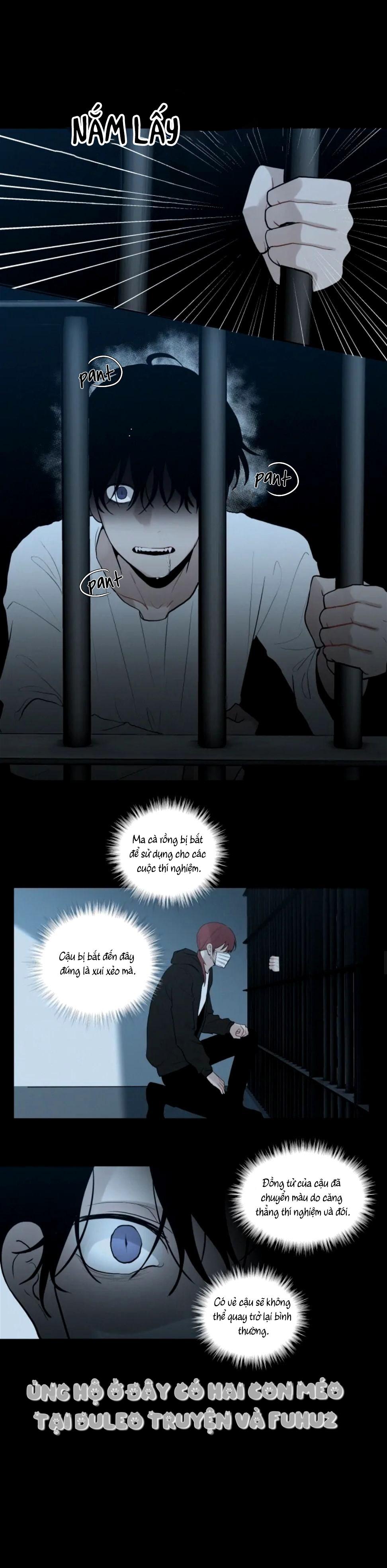 Đọc truyện Dòng Máu Ma Cà Rồng - Chapter 62
