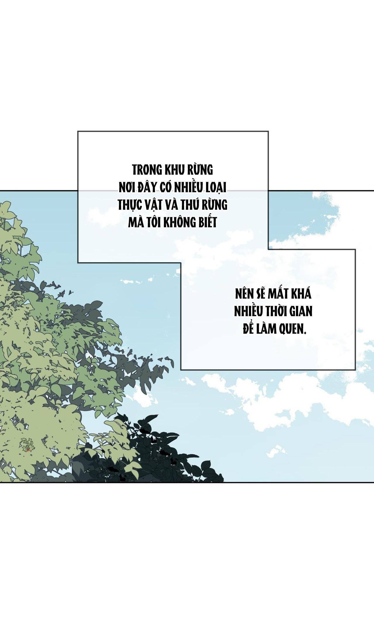 Đọc truyện Rừng Biển - Chapter 50