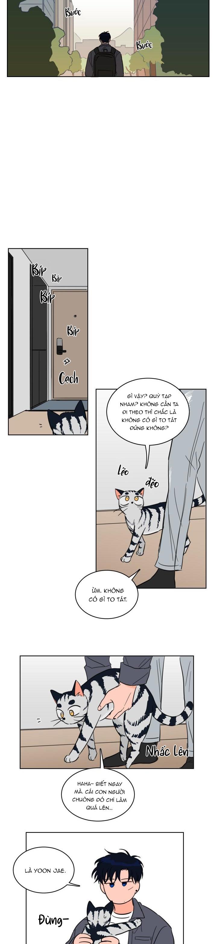 Đọc truyện Mẹo Thuần Hóa Hổ - Chapter 13