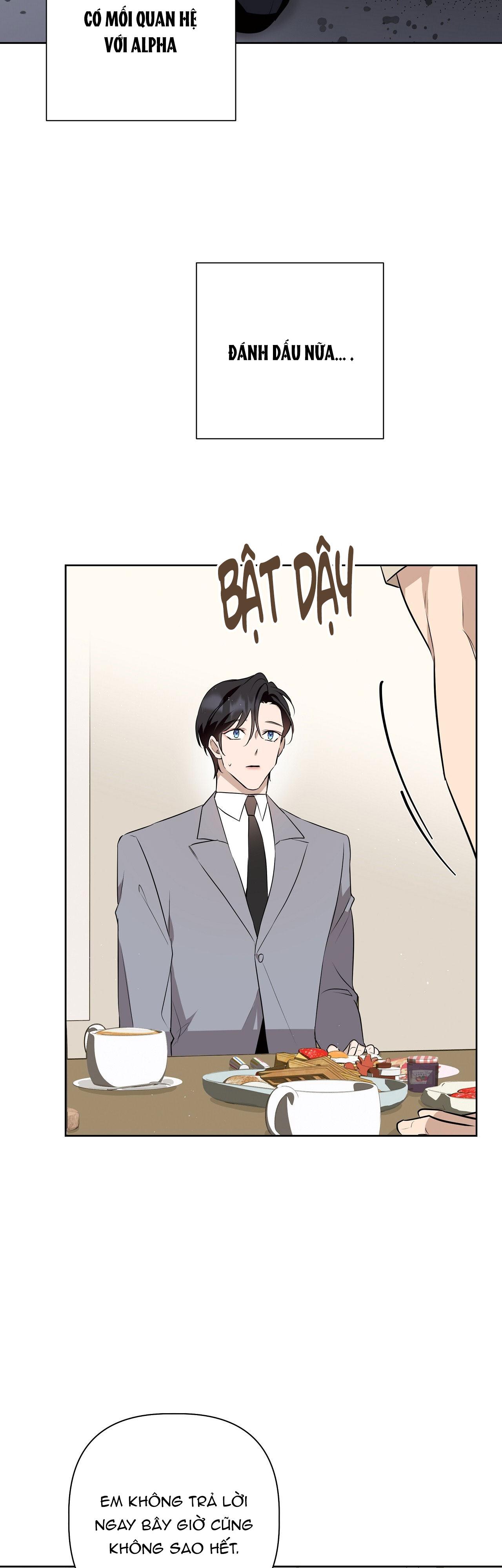 Đọc truyện OMEGA HOÀN HẢO CỦA TÔI - Chapter 8