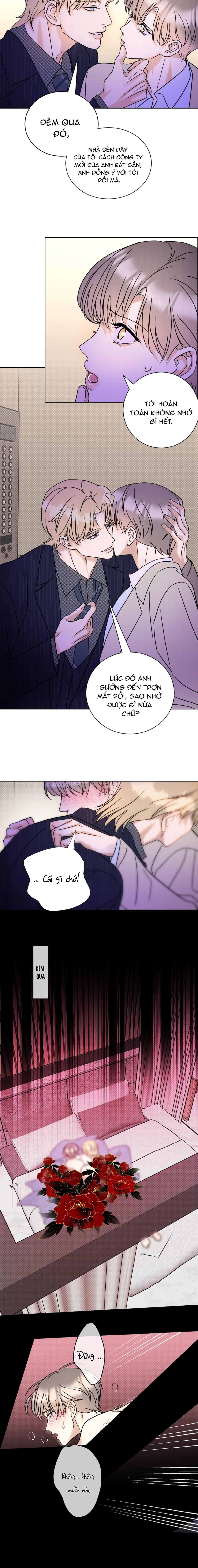 Đọc truyện Anh Trai Rẻ Tiền Của Tôi (END) - Chapter 25