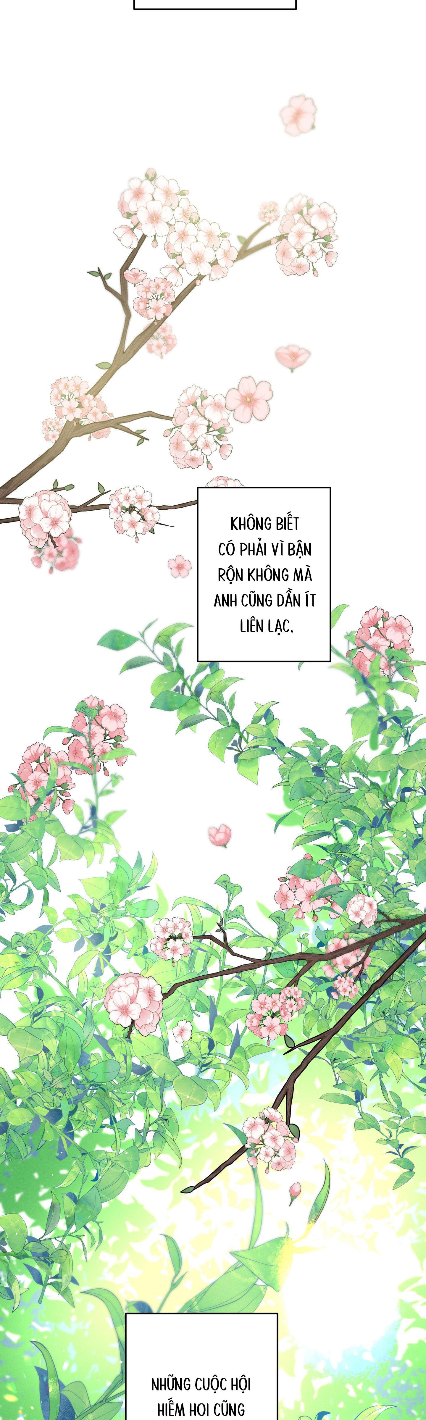 Đọc truyện BỜ SÓNG VỖ - Chapter 25