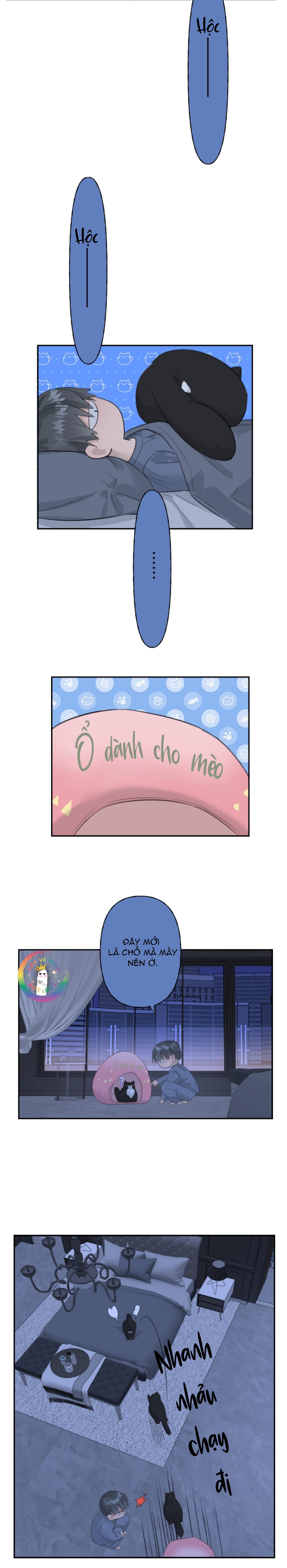 Đọc truyện (END) Chiến Lược Dụ Dỗ - Chapter 6