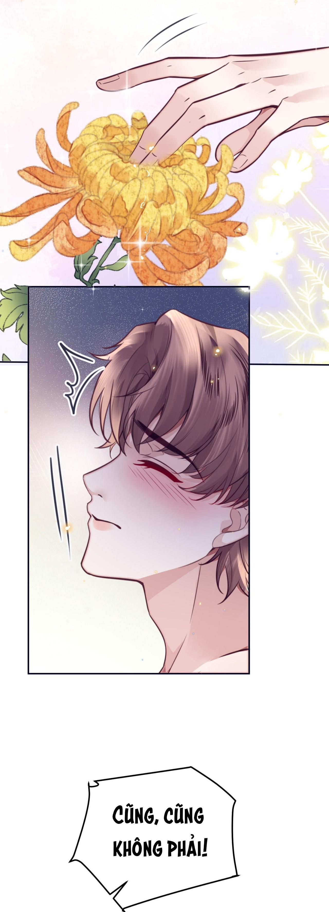 Đọc truyện (END) Đặc Chế Cho Riêng Anh - Chapter 82