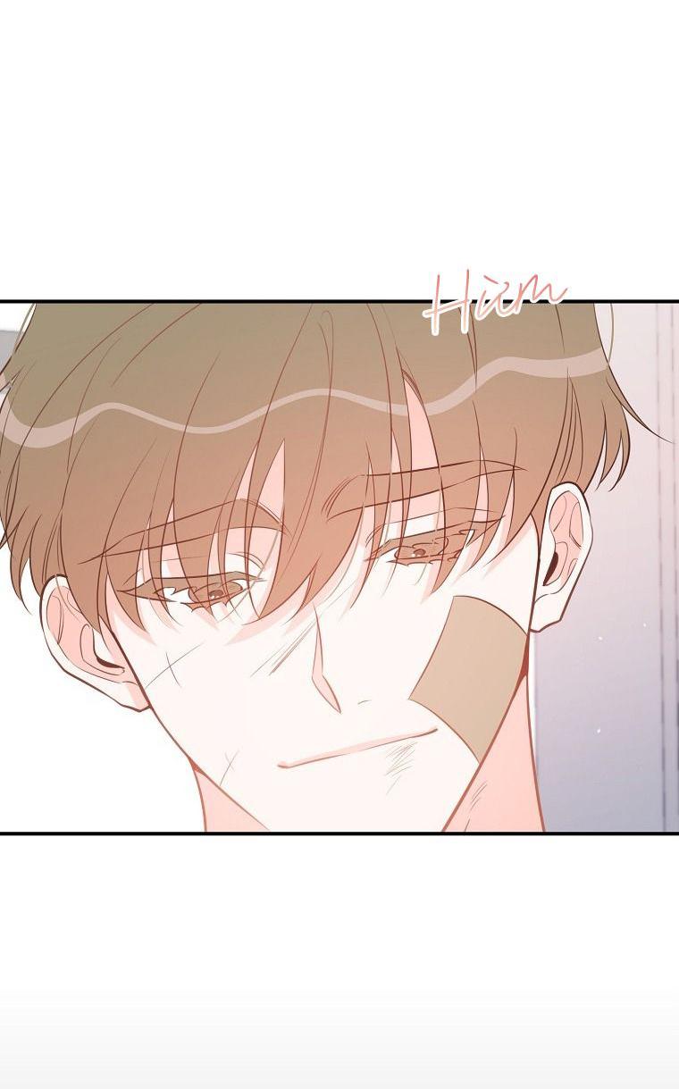 Đọc truyện Có Chuyện Gì Xảy Ra với Sự Nổi Tiếng Của Tôi Thế? - Chapter 69