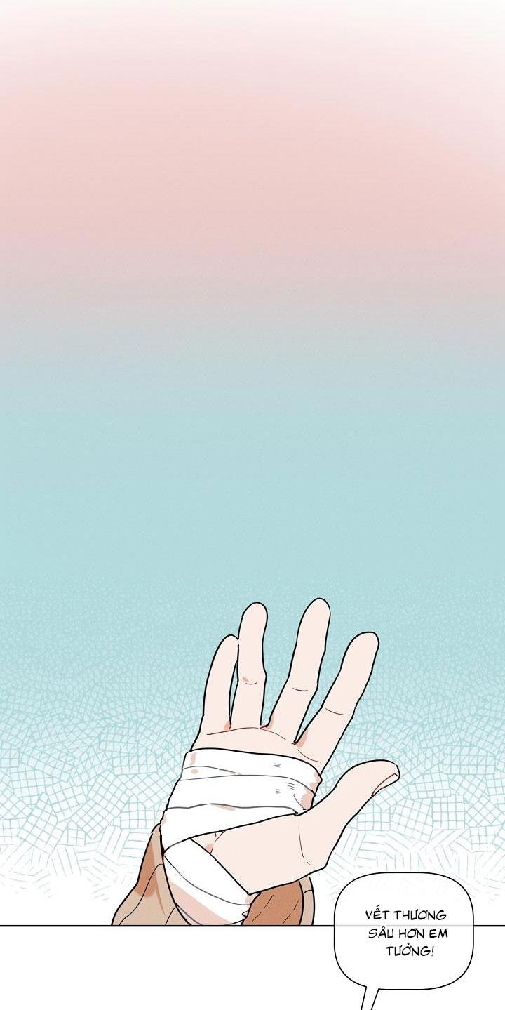 Đọc truyện Tố Cáo Sếp Tôi - Chapter 13